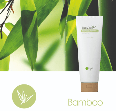 Bamboo