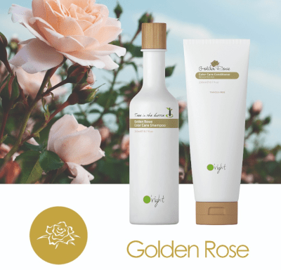 Golden Rose